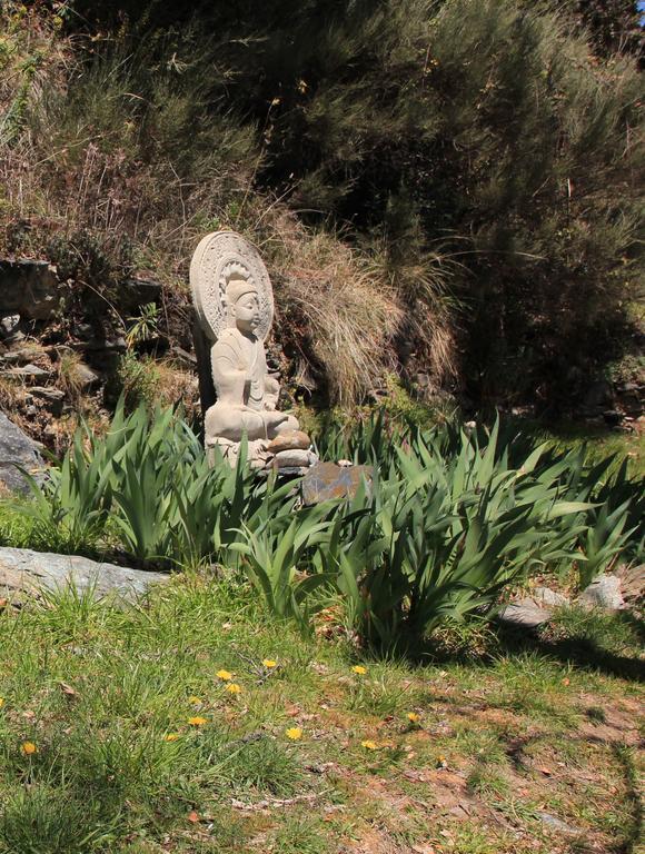Hostal Rural Las Terrazas De La Alpujarra Bubión Zewnętrze zdjęcie